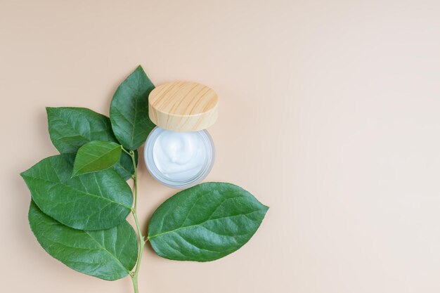 Frosted glass jar with cream of natural incgedients herbal aromatherapy and skincare green leaves