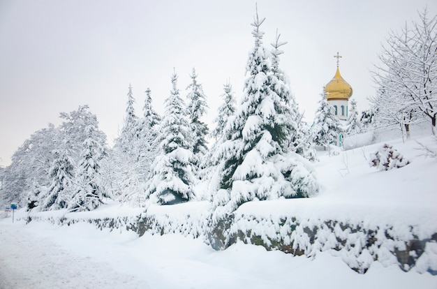 Frosted snowy spruce tree and a church with golden dome in Carpathians mountains, Ukraine