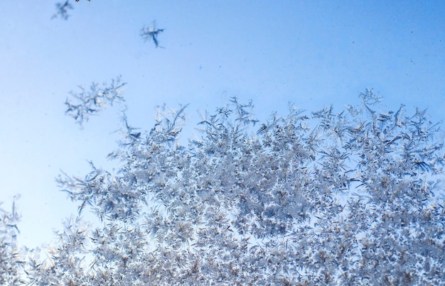 Frosty bevroren patronen van het ijs op het raam in de winter