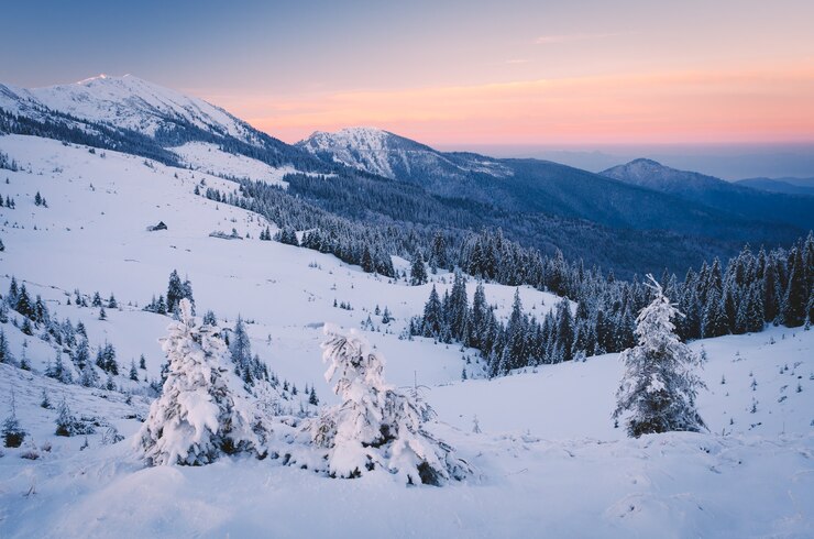 Frosty morning in mountains. Winter landscape. Carpathians, Ukraine, Europe. Low contrast. Color toning