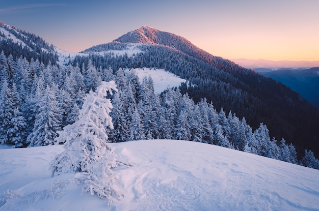 Frosty morning in mountains