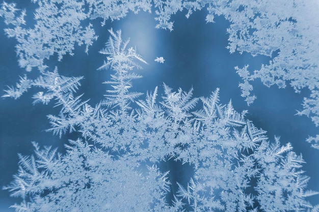 frosty patterns on the window glass closeup. natural textures and backgrounds. ice patterns on frozen