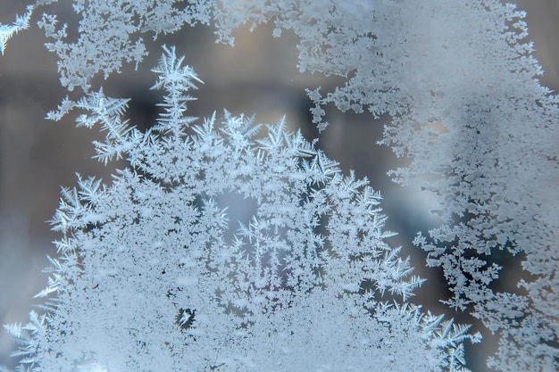 Photo frosty patterns on the window glass closeup natural textures and backgrounds ice patterns on frozen