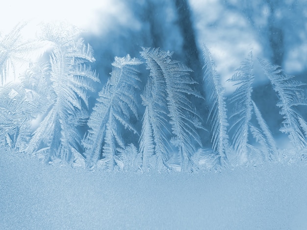 Frosty patterns on the window glass closeup