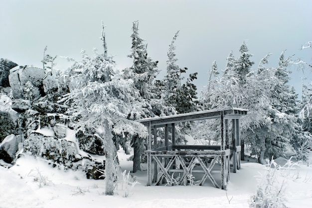 frosty winter gazebo in a winter mountain park