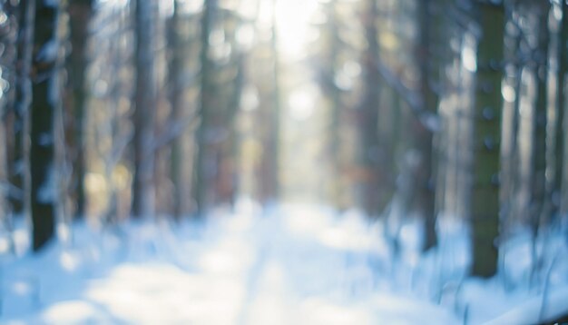 雪に覆われた森の寒い冬の風景 太陽は雪で覆われた木を通って輝いています