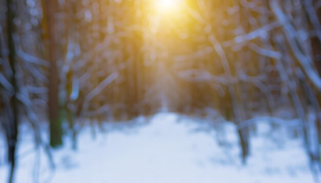 Foto paesaggio invernale ghiacciato in una foresta innevata il sole splende attraverso gli alberi coperti di neve