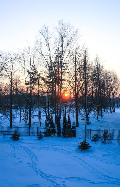 Frosty winter sunrise. Urban landscape.