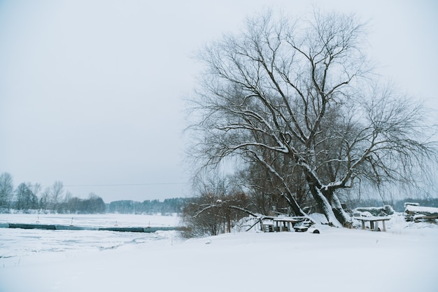 Frosty winterlandschap van de rivier met gebroken ijs