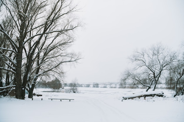 Frosty winterlandschap van de rivier met gebroken ijs