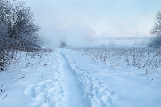 Frosty winterochtend