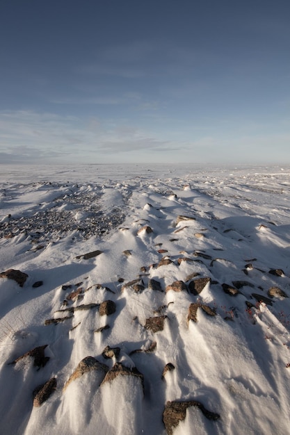 Arviat Nunavut 근처 땅에 눈이 내린 얼어붙은 북극 풍경