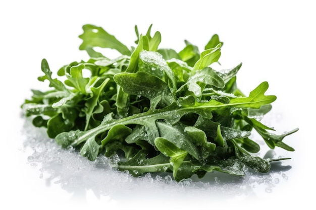 Frozen Arugula On White Background Generative AI