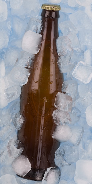 얼음 조각이 있는 냉동 맥주 병