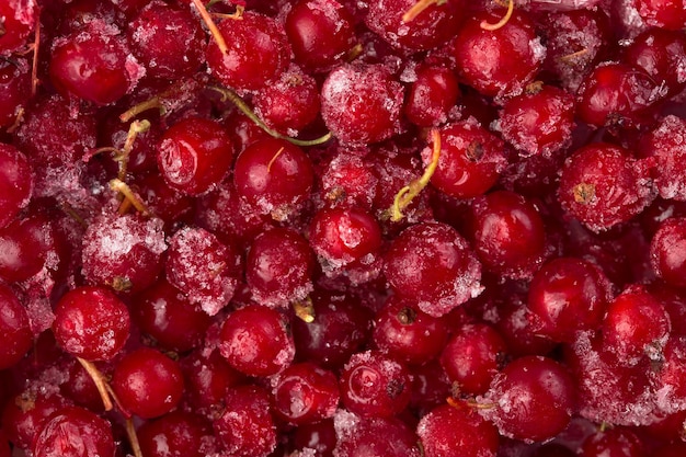 Frozen berries red currant macro