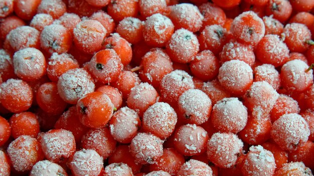 The frozen berry is covered with a layer of frost