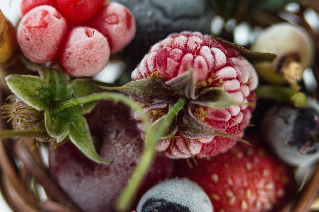 Frozen berry in a macro basket