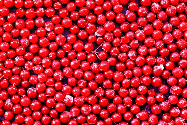 Frozen berry red natural vitamins