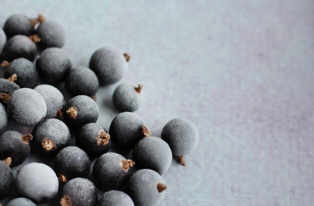 Photo frozen black currant berry with frost on a lilac background