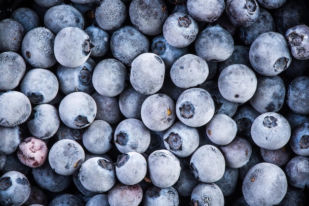 Frozen blueberry fruits close up