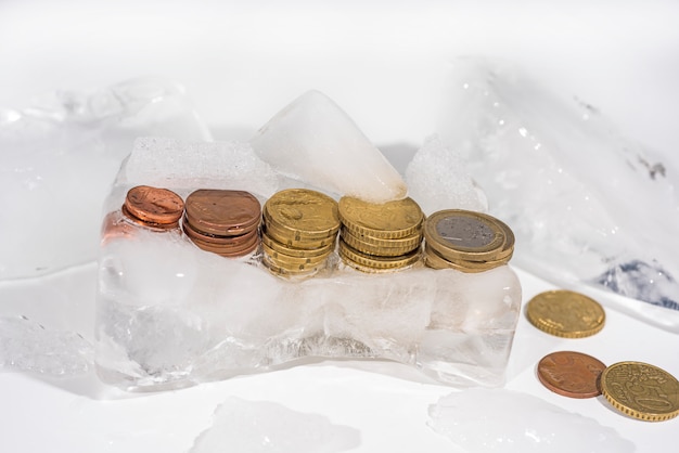 Frozen euro coins in ice