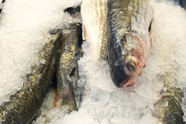 Frozen fish and seafood on ice