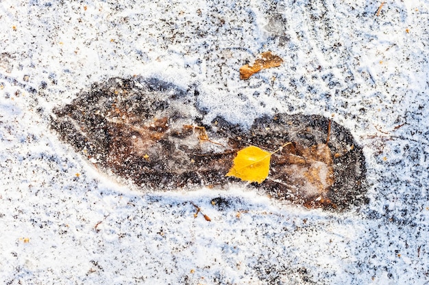 Photo frozen footprint on path covered with snow