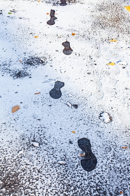 Frozen footprints on wet road covered with snow