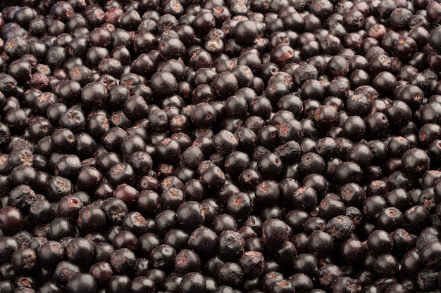 Frozen fresh chokeberry. Food background of berries.