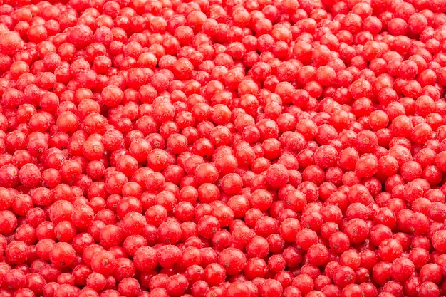 Frozen fresh red currant top view.