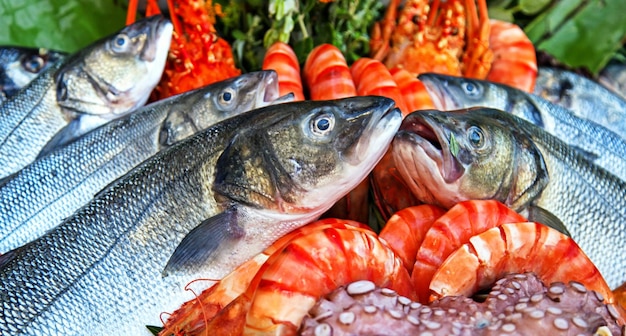 Frozen fresh seafood in the market