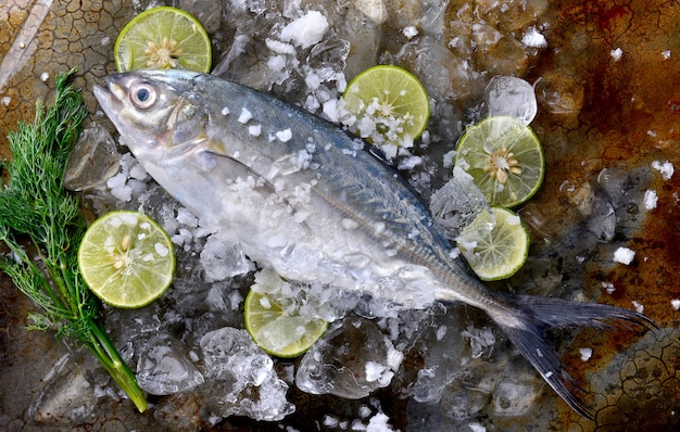 Frozen fresh trevally fish.