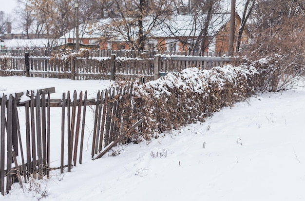 Замороженные покрытые льдом листья и ветки