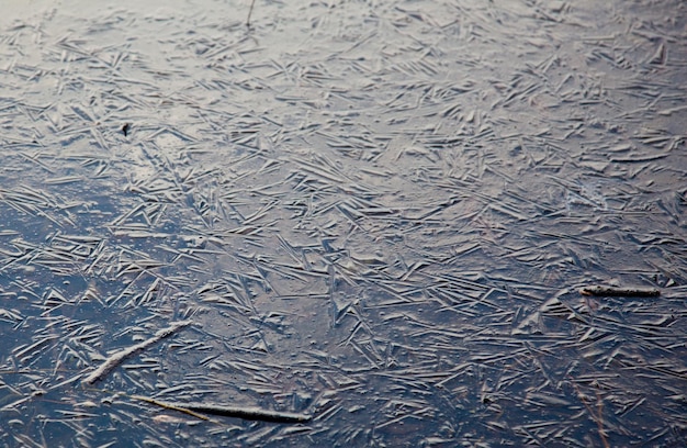 湖の凍った氷