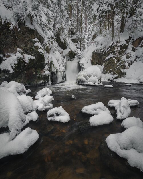 Foto lago ghiacciato da alberi coperti di neve