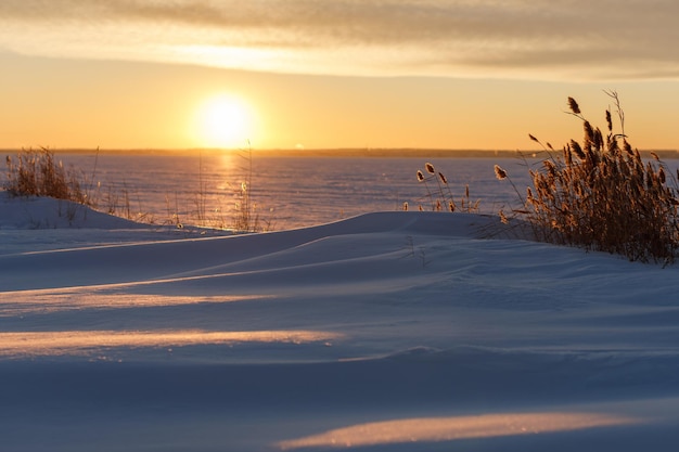 Photo frozen lake coast at colorful sunset shooting from the bottom position