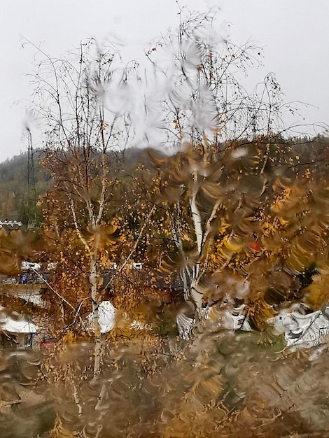 Foto lago ghiacciato durante la stagione delle piogge