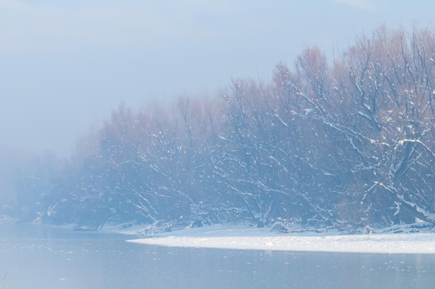 森の中の凍った湖。雪の下の冬の湖