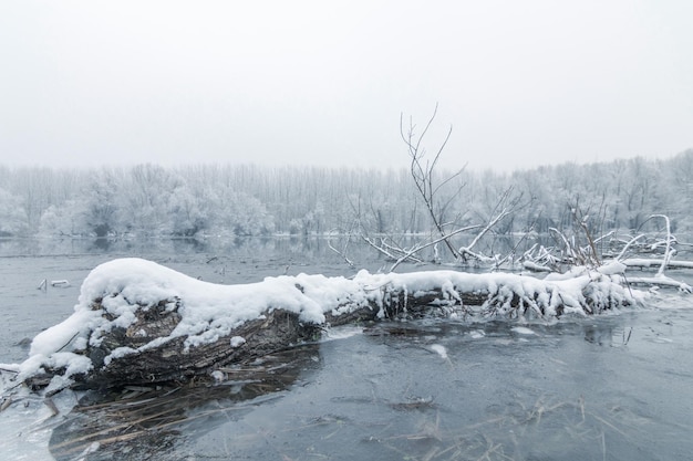 Frozen lake in winter, Winter lake scene reflecting