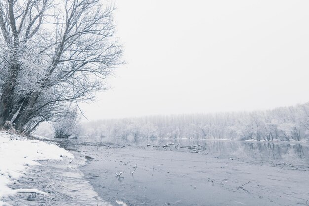 Frozen lake in winter, Winter lake scene reflecting