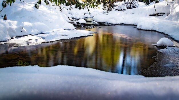 Frozen lake in winter