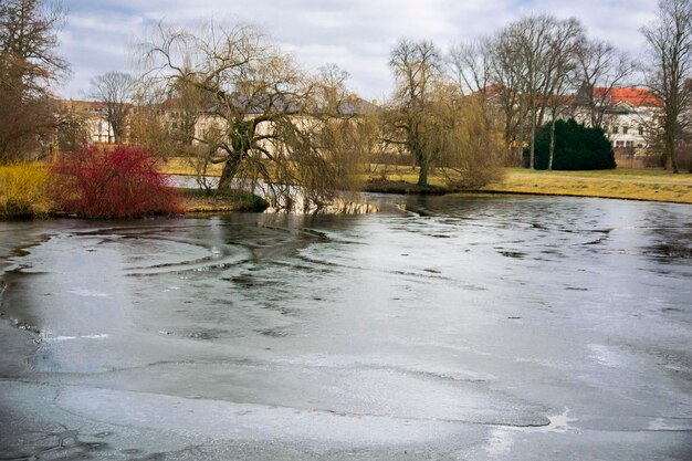 Frozen lake in winter