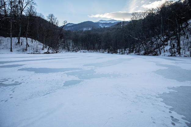 Frozen lake with forest