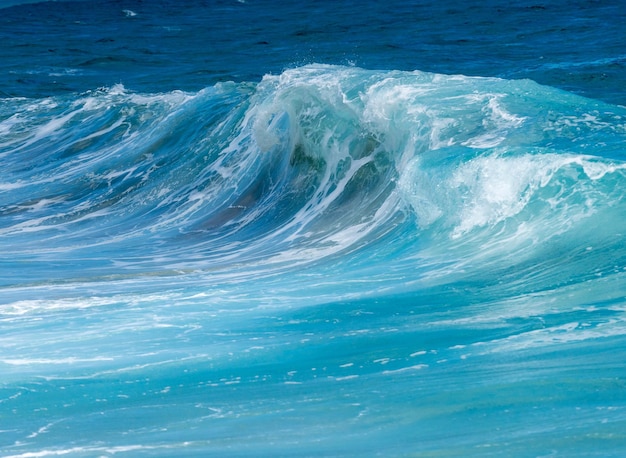 ハワイ沖の海の波の凍った動き