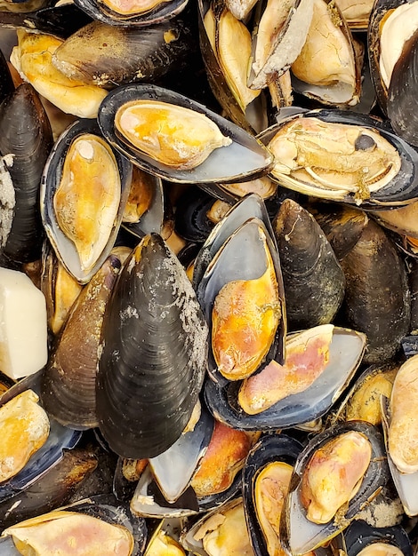 Frozen mussels close-up. food texture. Seafood