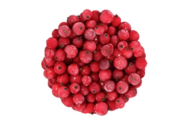 Frozen red currant berry isolated on white background. a bunch of natural berries in the shape of a circle. High quality photo