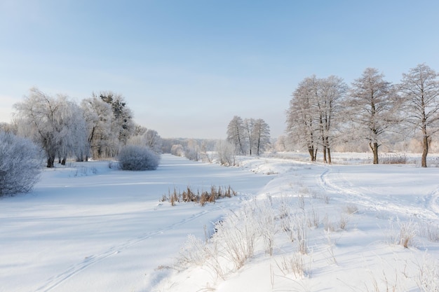 Замерзшая река покрыта льдом и снегом деревья покрыты инеем