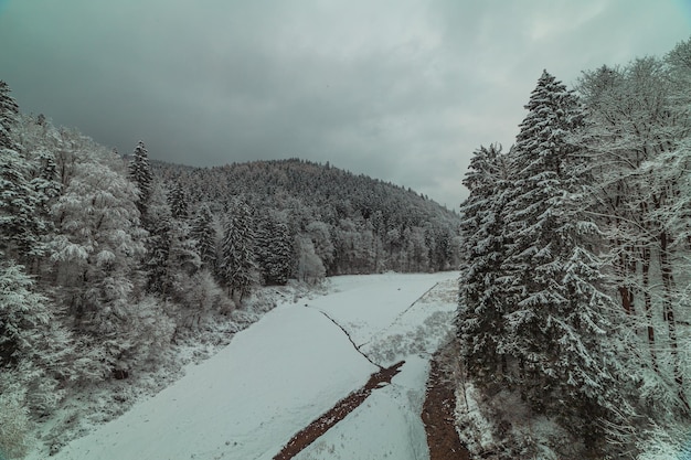 山の雪に覆われた森の間の凍った川