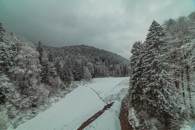 Frozen river between snowcovered forest in the mountains