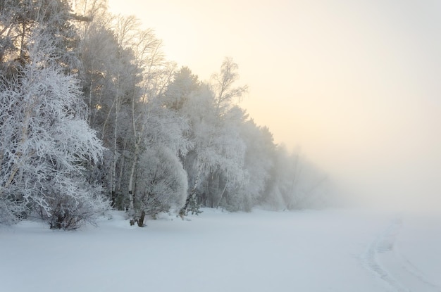 A frozen river in the winter